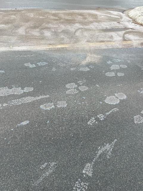 IMG-20221104-WA0008 groß.jpg